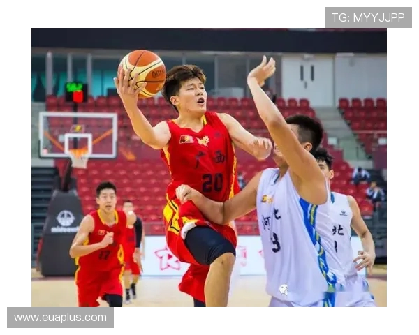 NBL河北翔蓝迎战广西队全力争胜展现球队实力与激情