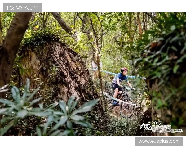 玻利瓦尔与捍卫者的巅峰对决谁能在赛场上书写传奇