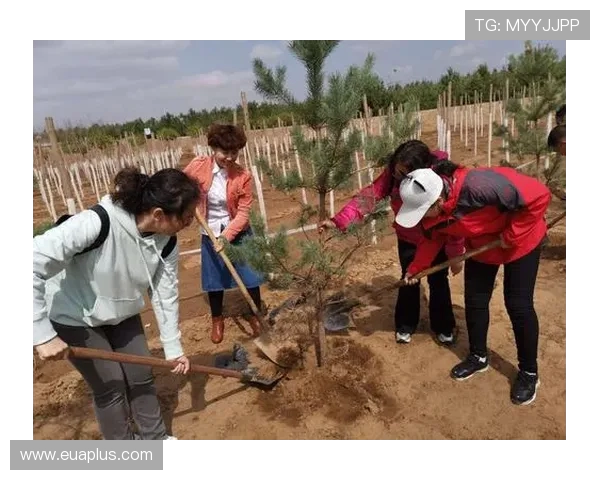 田宇翔的奋斗历程与梦想追寻：从平凡到卓越的成长故事