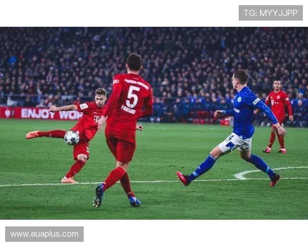 莱切城与埃弗顿对决前瞻分析及赛前预测详解