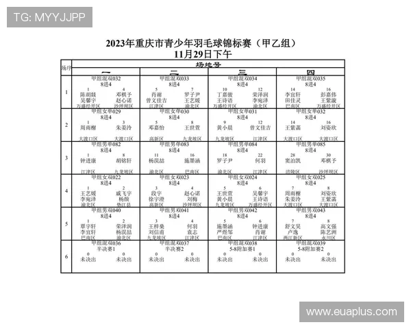 重庆羽毛球队在锦标赛中的速度优势与表现分析