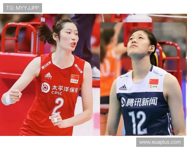 南京排球队实力强劲荣登全国排球个人能力排行榜第二名