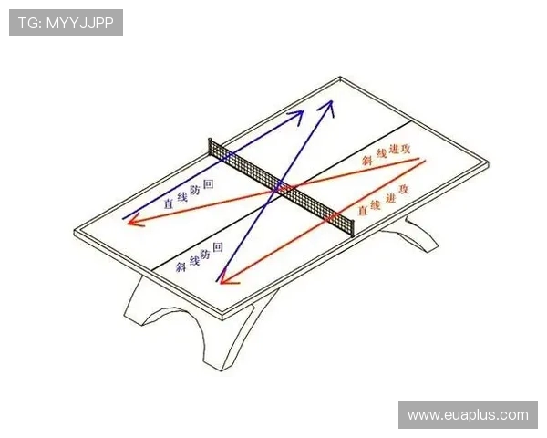 乒乓球的魅力与灵动:深入解析杭州乒乓球队的训练与战术创新 乒乓球的魅力与灵动:深入解析杭州乒乓球队的训练与战术创新