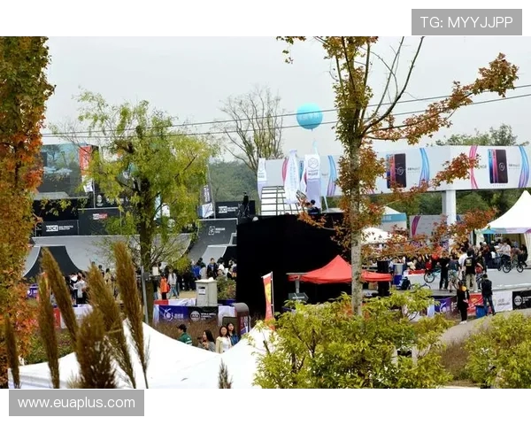 成都极限运动队的进攻策略与挑战深度解析