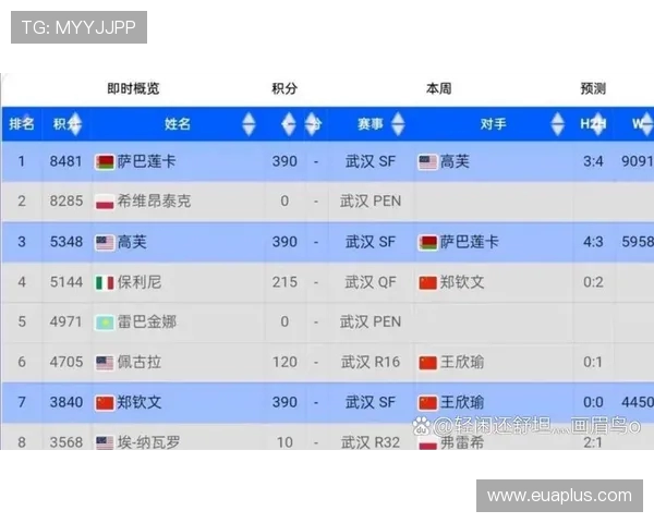武汉网球队以94分稳居挑战赛积分榜首位争夺冠军势头强劲